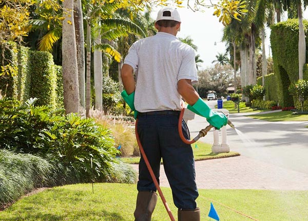 About Middlebrook VA Pest Control